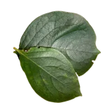 D-0002