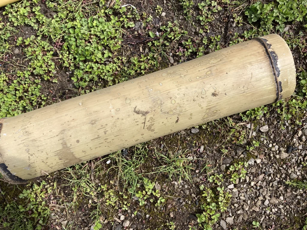 竹の小物入れのカビ1