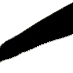 Wild boar bone teeth