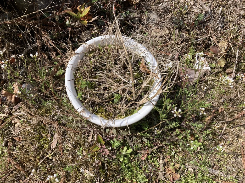 与えすぎると枯れる事も