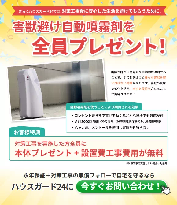 契約者全員にプレゼント