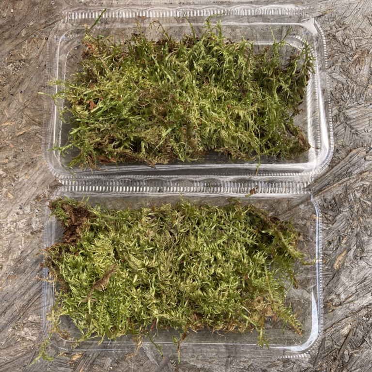 名称未設定のデザイン