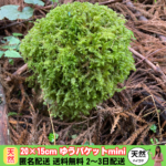 名称未設定のデザイン